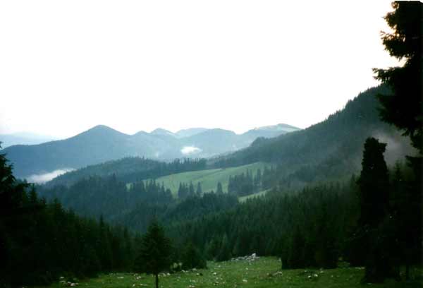 Gebirgslandschaft in den Karpaten bei der Cabana Curmatura (Piatra Craiului, Rumnien)