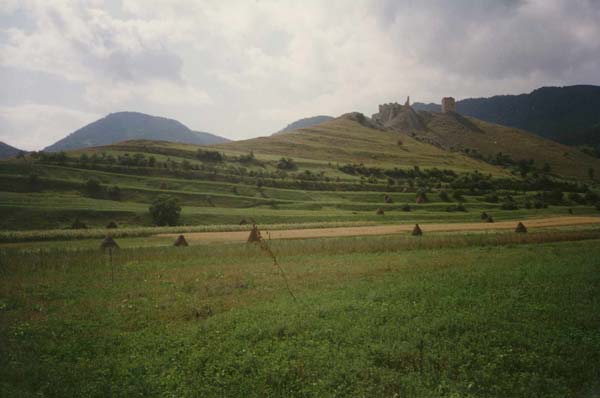 Burgruine Trascau bei Coltesti im Kreis Alba (Rumnien)